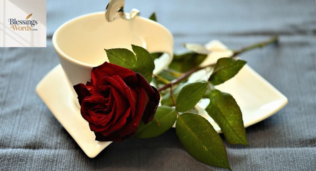 Wednesday Blessings Quotes to Fill Your Day with Hope and Positivity