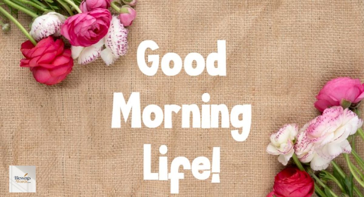 420+ Powerful Heart Touching Deep Meaningful Good Morning Life Quotes